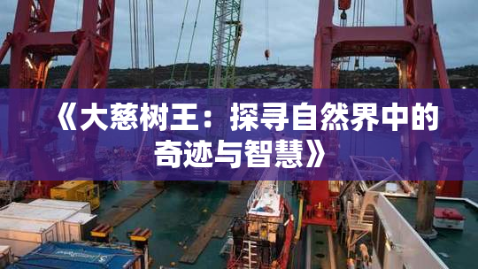 《大慈树王：探寻自然界中的奇迹与智慧》