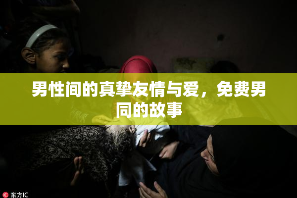 男性间的真挚友情与爱，免费男同的故事