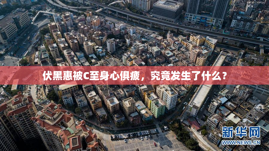 伏黑惠被C至身心俱疲，究竟发生了什么？