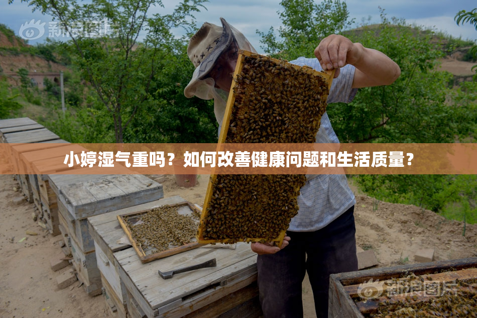 小婷湿气重吗？如何改善健康问题和生活质量？