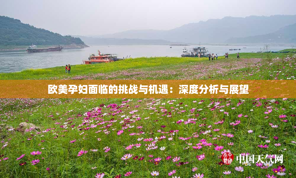 欧美孕妇面临的挑战与机遇：深度分析与展望