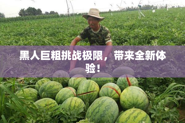 黑人巨粗挑战极限，带来全新体验！