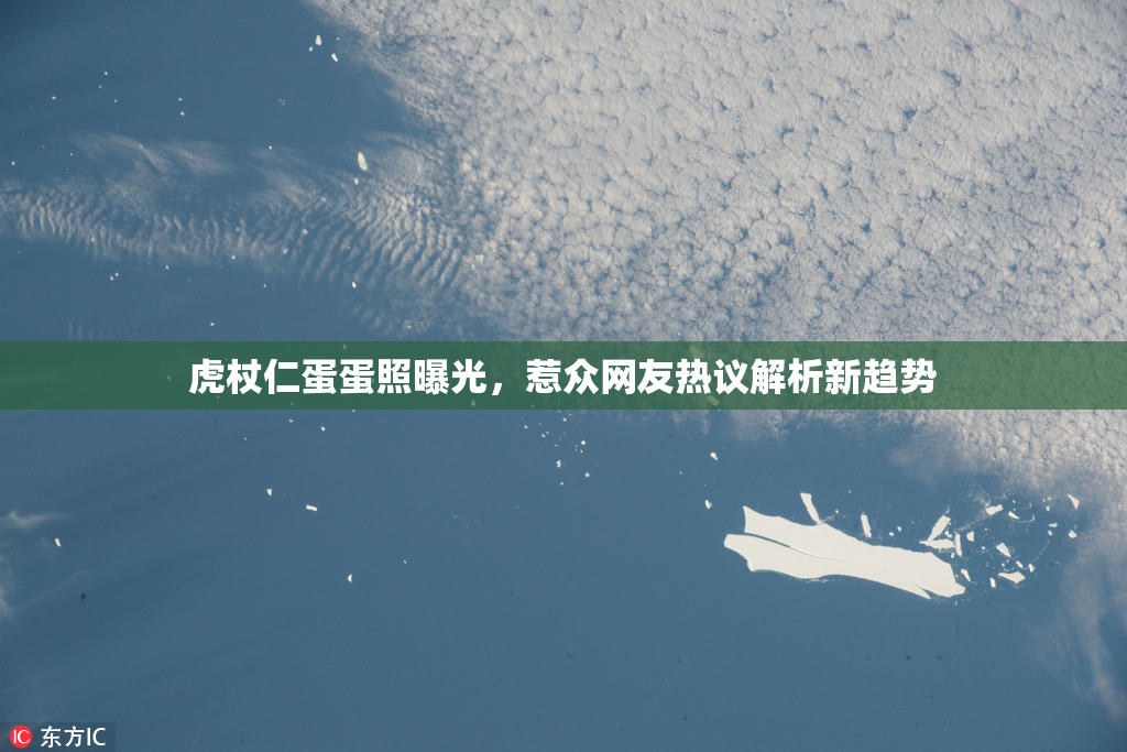 虎杖仁蛋蛋照曝光，惹众网友热议解析新趋势