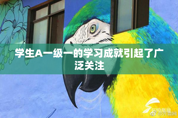 学生A一级一的学习成就引起了广泛关注