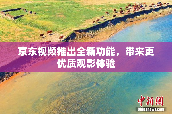 京东视频推出全新功能，带来更优质观影体验