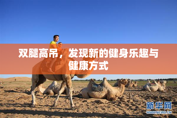 双腿高吊，发现新的健身乐趣与健康方式