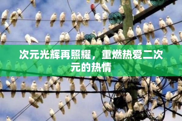 次元光辉再照耀，重燃热爱二次元的热情