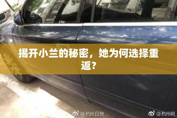 揭开小兰的秘密，她为何选择重返？
