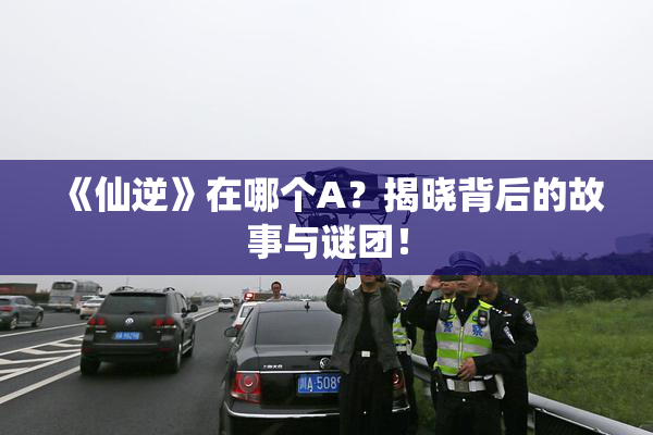 《仙逆》在哪个A？揭晓背后的故事与谜团！
