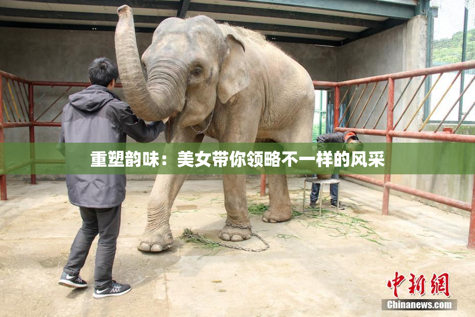 重塑韵味：美女带你领略不一样的风采
