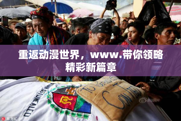 重返动漫世界，www.带你领略精彩新篇章