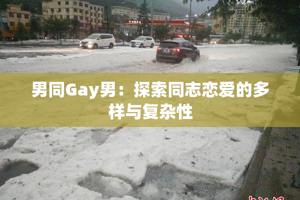 男同Gay男：探索同志恋爱的多样与复杂性