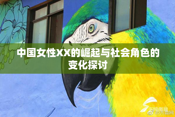 中国女性XX的崛起与社会角色的变化探讨