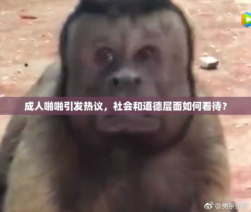 成人啪啪引发热议，社会和道德层面如何看待？
