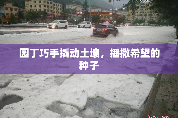 园丁巧手撬动土壤，播撒希望的种子