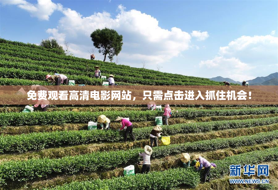 免费观看高清电影网站，只需点击进入抓住机会！