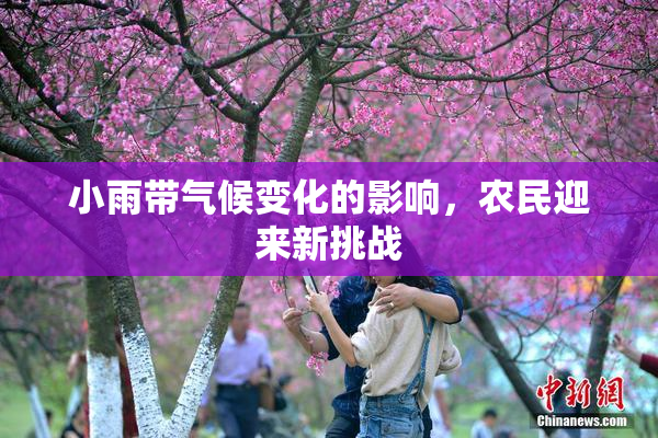 小雨带气候变化的影响，农民迎来新挑战