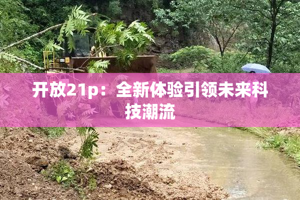 开放21p：全新体验引领未来科技潮流