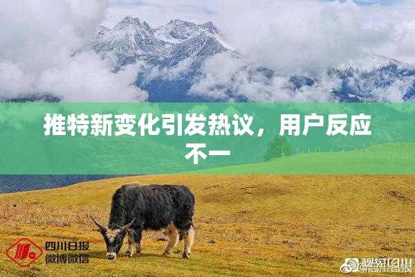 推特新变化引发热议，用户反应不一