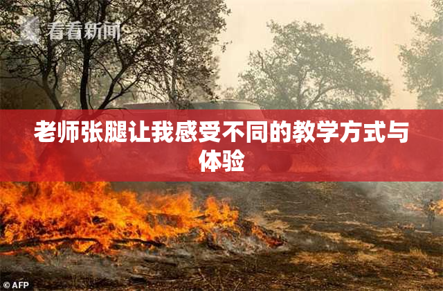 老师张腿让我感受不同的教学方式与体验