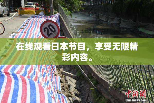 在线观看日本节目，享受无限精彩内容。