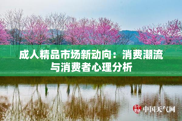成人精品市场新动向：消费潮流与消费者心理分析