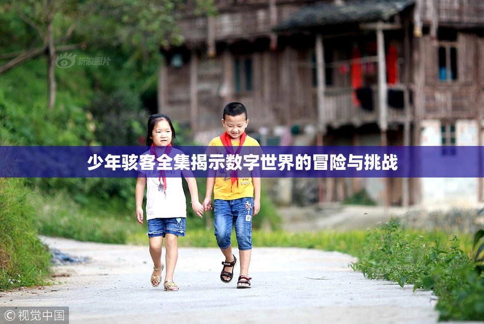 少年骇客全集揭示数字世界的冒险与挑战