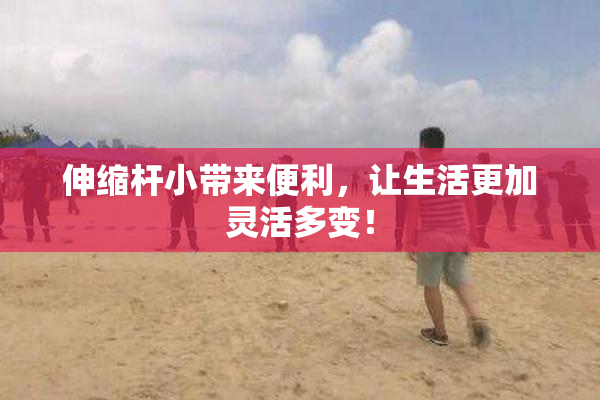 伸缩杆小带来便利，让生活更加灵活多变！
