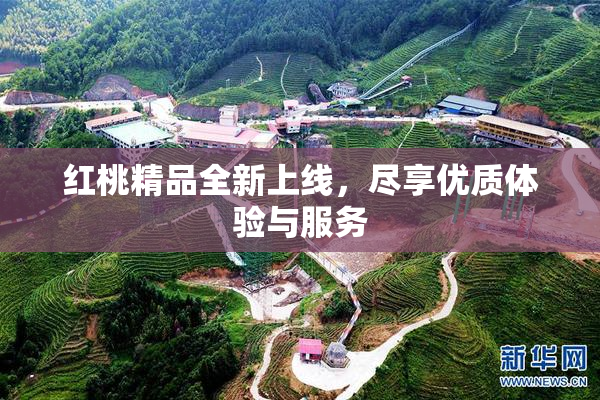 红桃精品全新上线，尽享优质体验与服务
