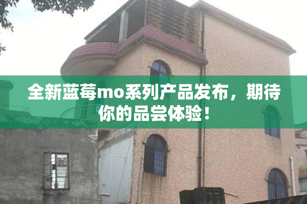 全新蓝莓mo系列产品发布，期待你的品尝体验！
