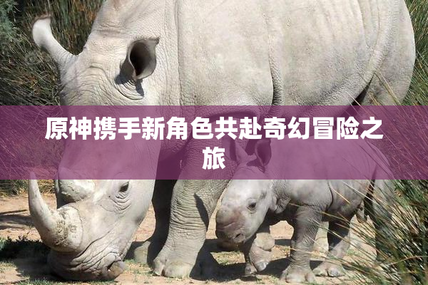 原神携手新角色共赴奇幻冒险之旅