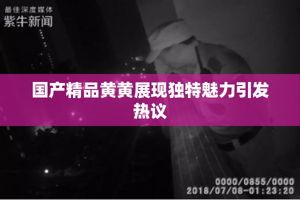 国产精品黄黄展现独特魅力引发热议