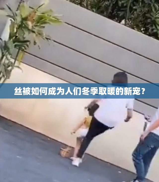丝被如何成为人们冬季取暖的新宠？