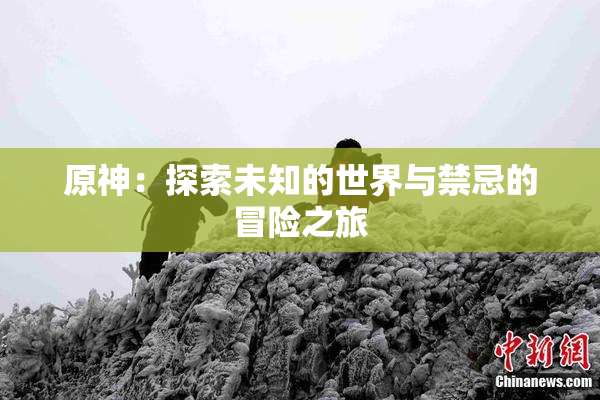 原神：探索未知的世界与禁忌的冒险之旅