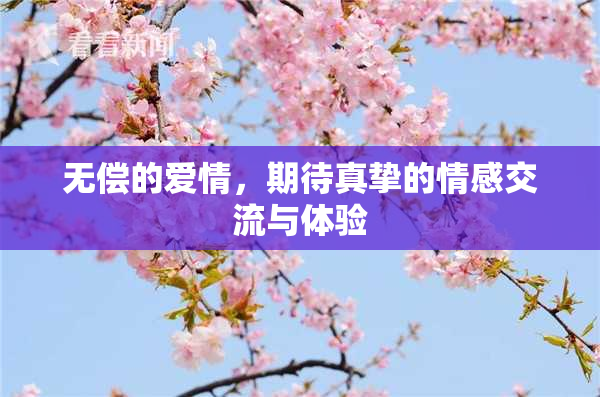 无偿的爱情，期待真挚的情感交流与体验