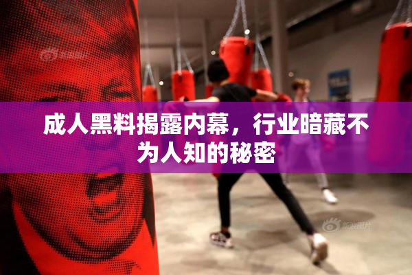 成人黑料揭露内幕，行业暗藏不为人知的秘密