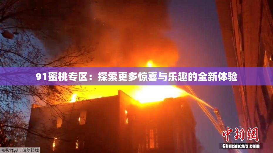 91蜜桃专区：探索更多惊喜与乐趣的全新体验