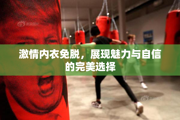 激情内衣免脱，展现魅力与自信的完美选择