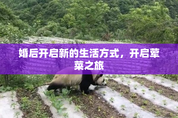 婚后开启新的生活方式，开启荤菜之旅