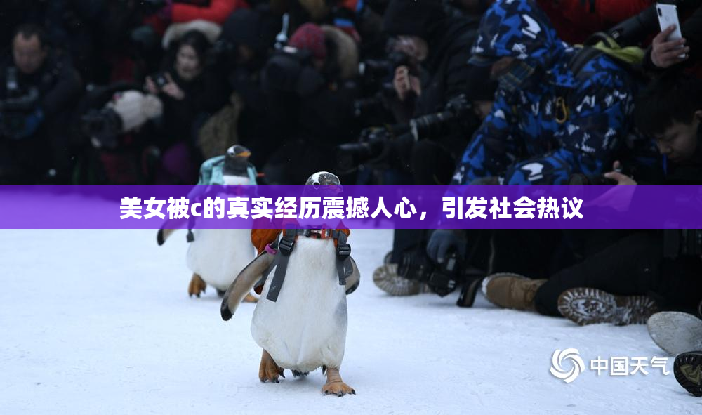 美女被c的真实经历震撼人心，引发社会热议