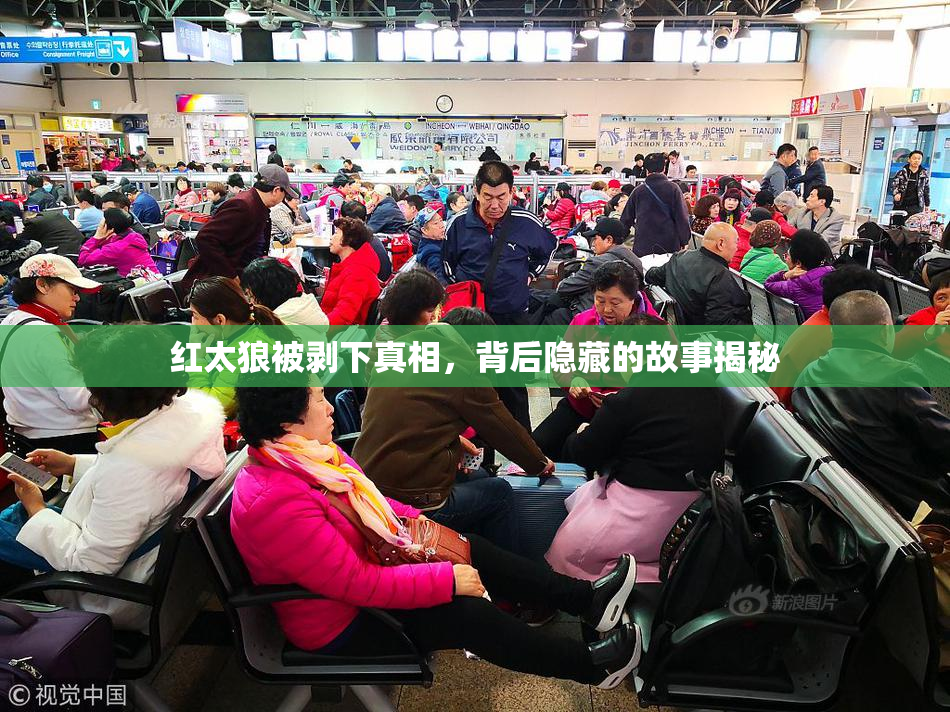 红太狼被剥下真相，背后隐藏的故事揭秘