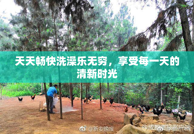 天天畅快洗澡乐无穷，享受每一天的清新时光