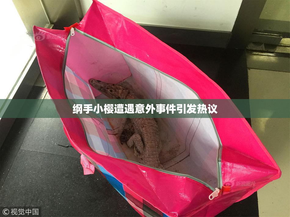 纲手小樱遭遇意外事件引发热议