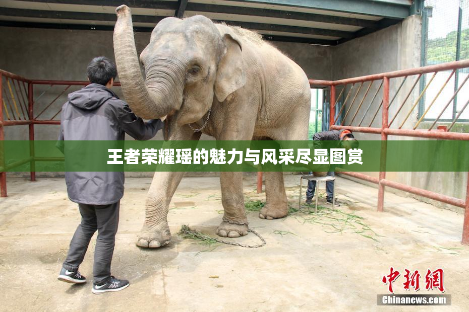 王者荣耀瑶的魅力与风采尽显图赏
