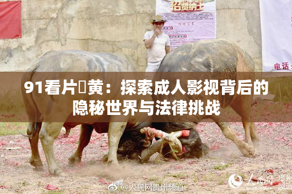 91看片婬黄：探索成人影视背后的隐秘世界与法律挑战