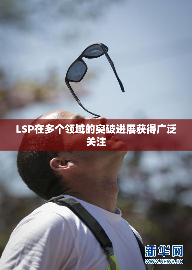 LSP在多个领域的突破进展获得广泛关注