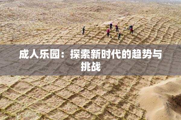 成人乐园：探索新时代的趋势与挑战