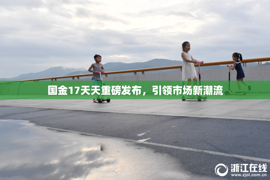 国金17天天重磅发布，引领市场新潮流