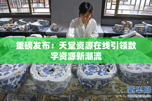 重磅发布：天堂资源在线引领数字资源新潮流