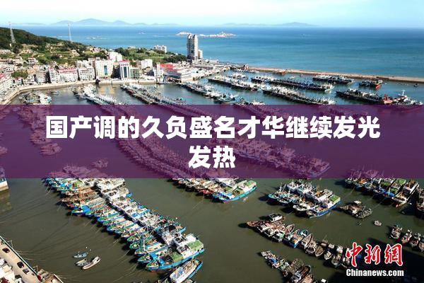 国产调的久负盛名才华继续发光发热